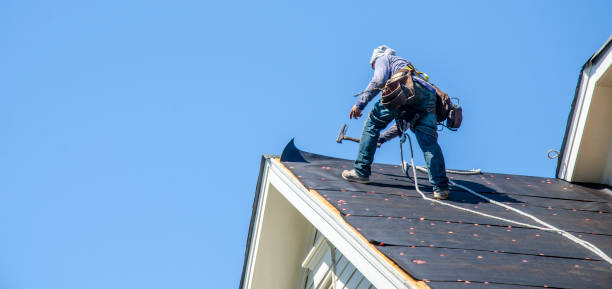 Best Roof Gutter Cleaning  in Reynoldsburg, OH